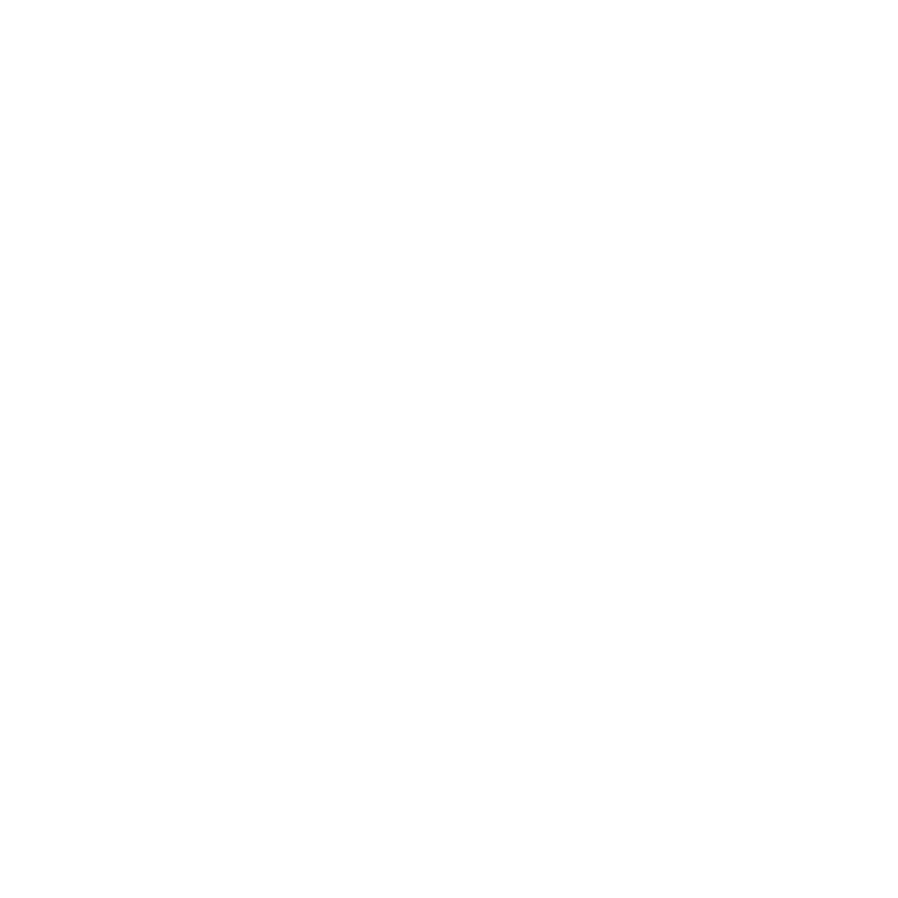 PIRLA